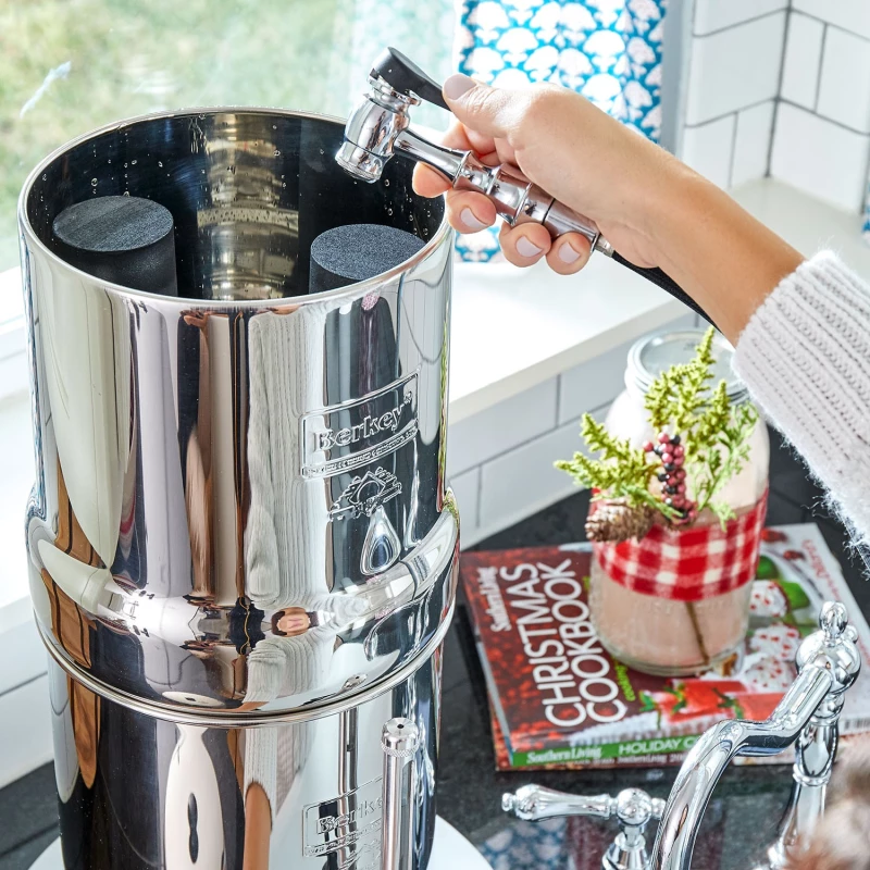 Filtres Purificateur Black Berkey vendu par Berkey Benelux Belgique.