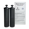 Filtres Black Berkey set de 2. Vendu par Berkey Benelux Belgique.