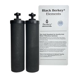 Paire d'éléments de purification Black Berkey® avec leurs papillons de fixation, devant leur boîte
