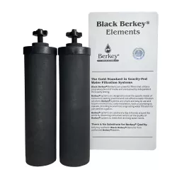 Paire d'éléments de purification Black Berkey® avec leurs papillons de fixation, devant leur boîte