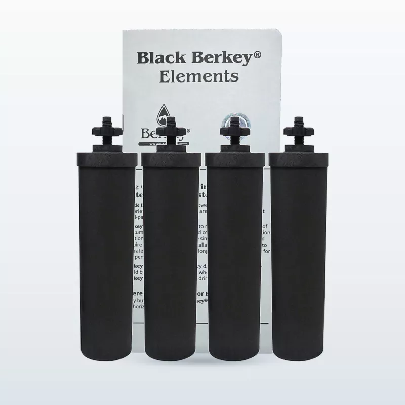 Filtres à eau Black Berkey®, pack de 2 paires : quatre filtres purificateurs devant leur boîte