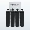 Filtres à eau Black Berkey®, pack de 2 paires : quatre filtres purificateurs devant leur boîte