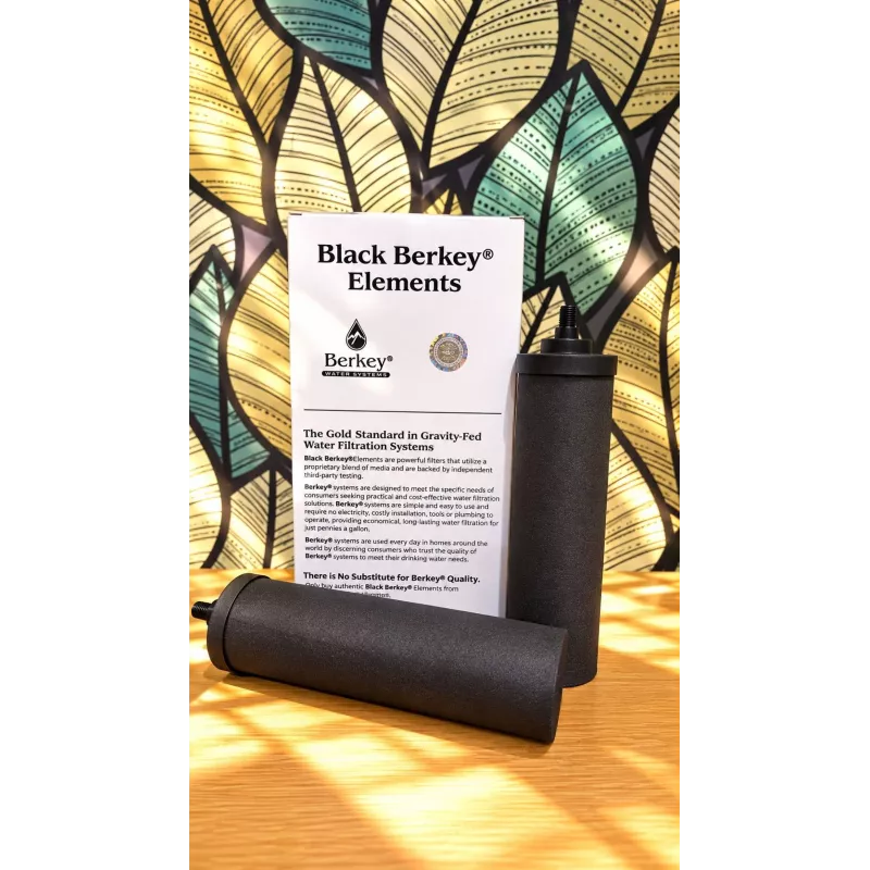 Filtres purificateurs Black Berkey® : une paire devant sa boîte, au magasin Berkey Benelux®