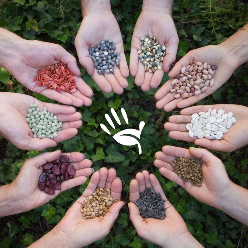 Pack multi-graines paysannes résistantes et reproductibles. Berkey Benelux Belgique.