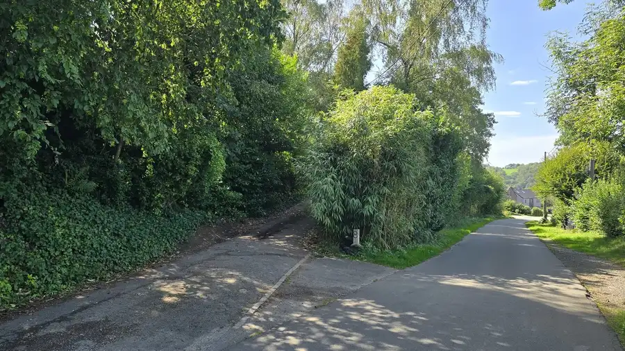 Le chemin d'accès au magasin, depuis la rue
